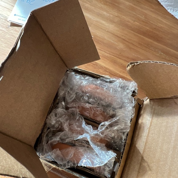 Terracotta Sugar Savers The Pioneer Woman - Picture 5 of 7